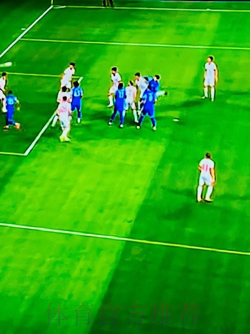 记者:欧足联应调查决赛前场外发生的那些耻辱事件